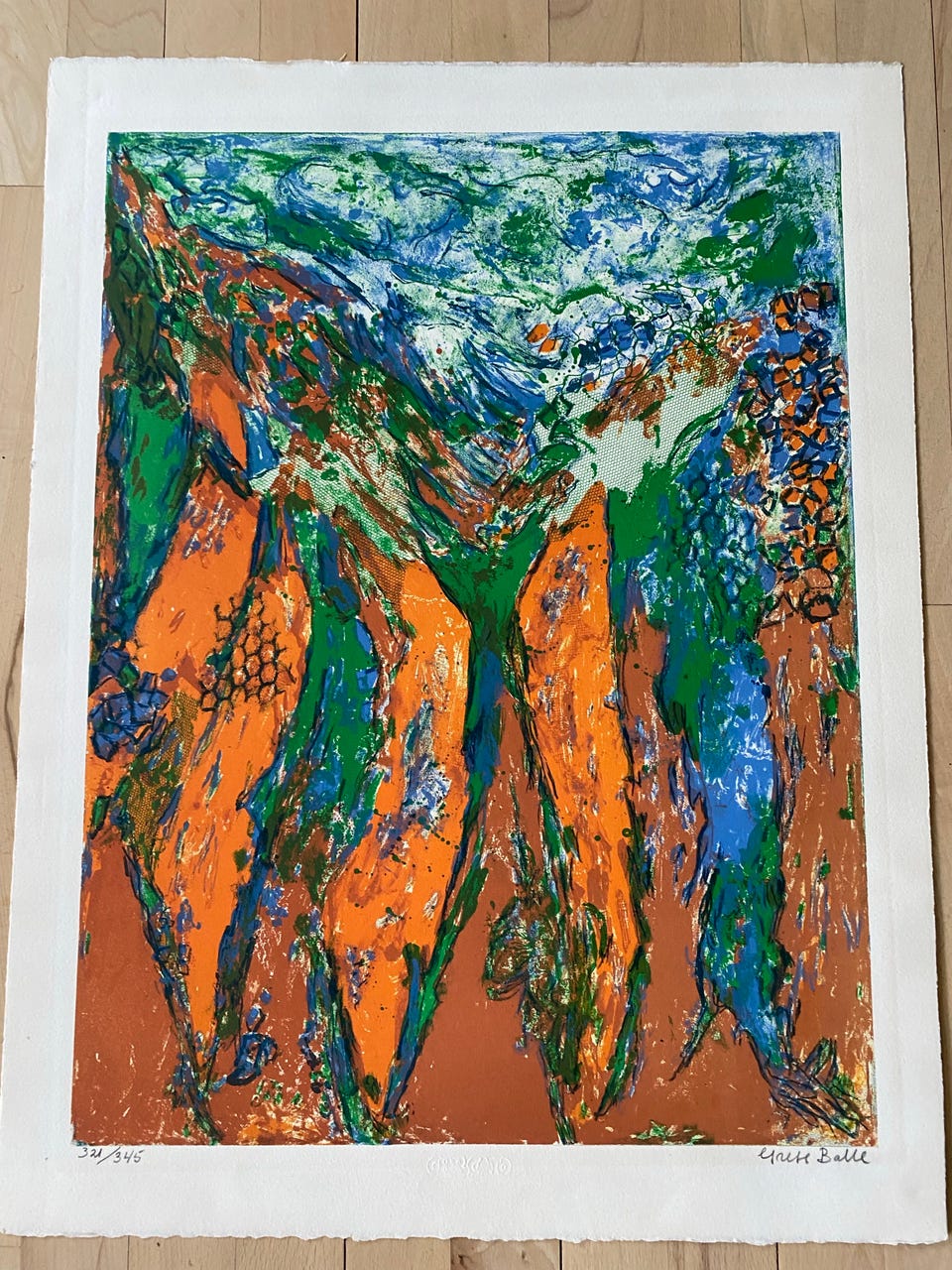 Galleribillede