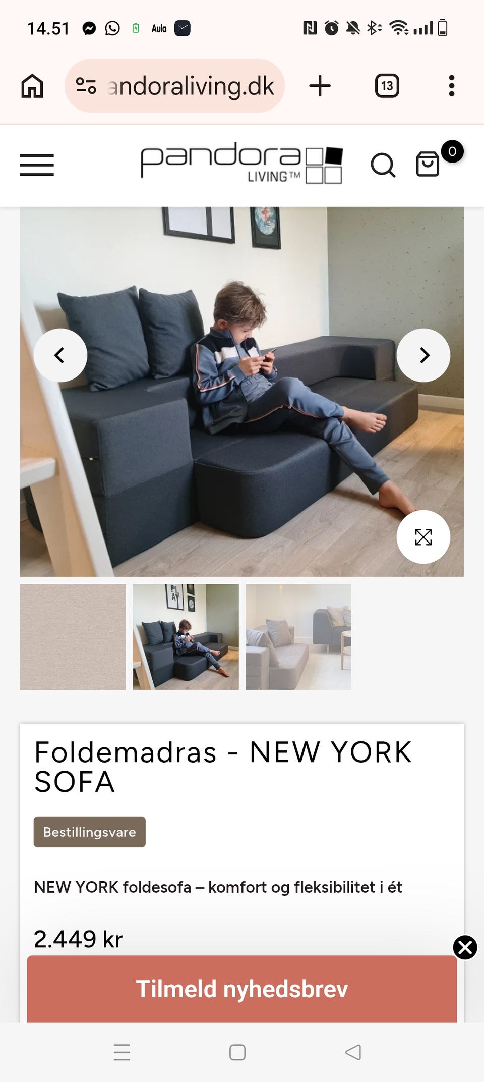 Galleribillede