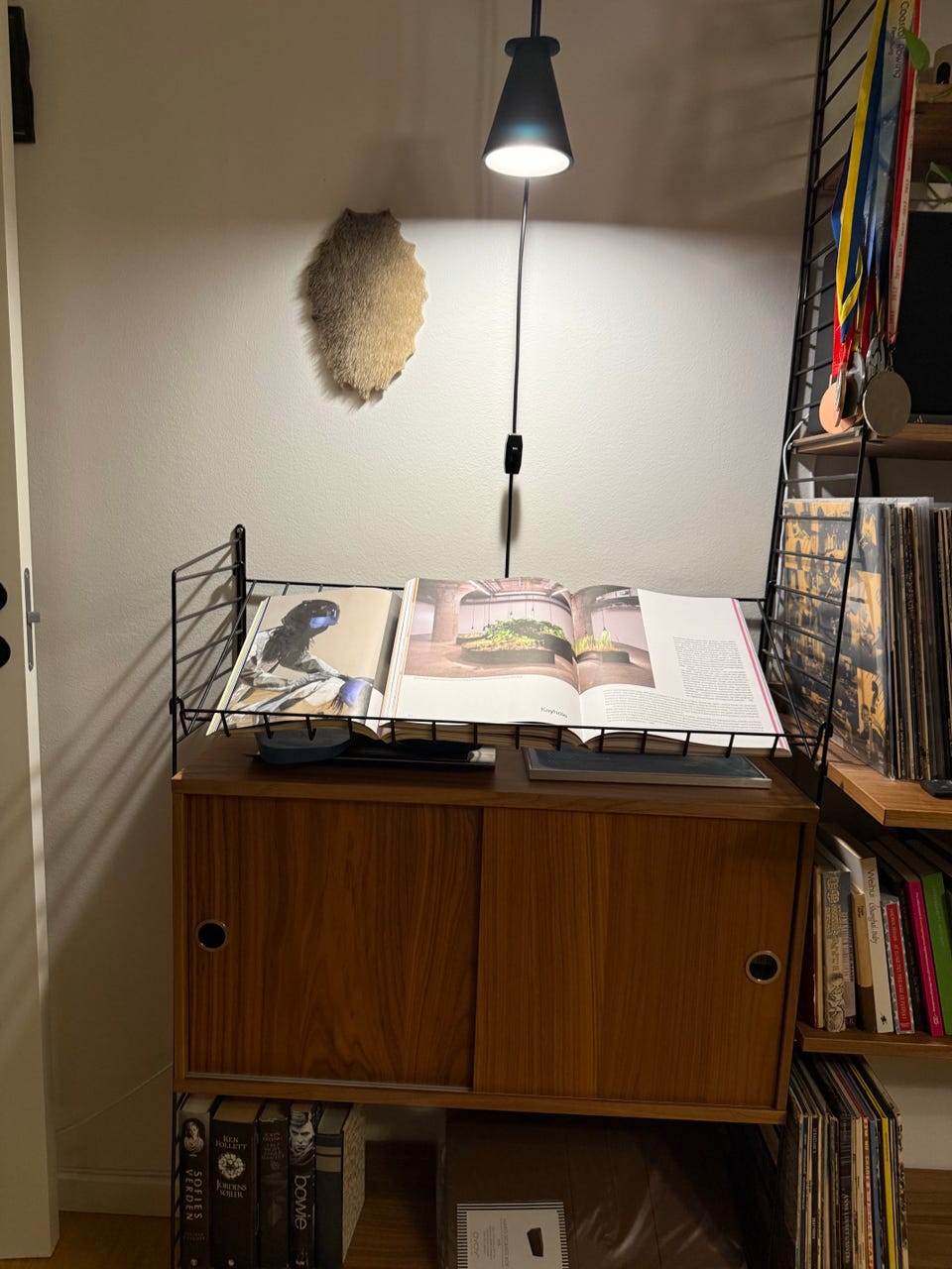 Galleribillede