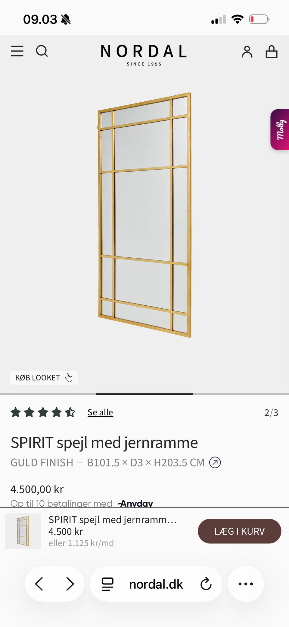Galleribillede