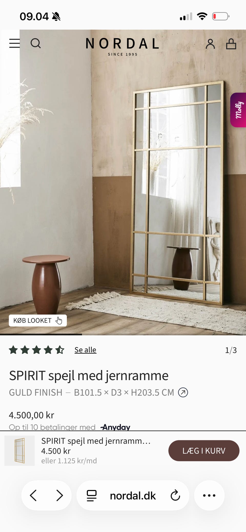Galleribillede