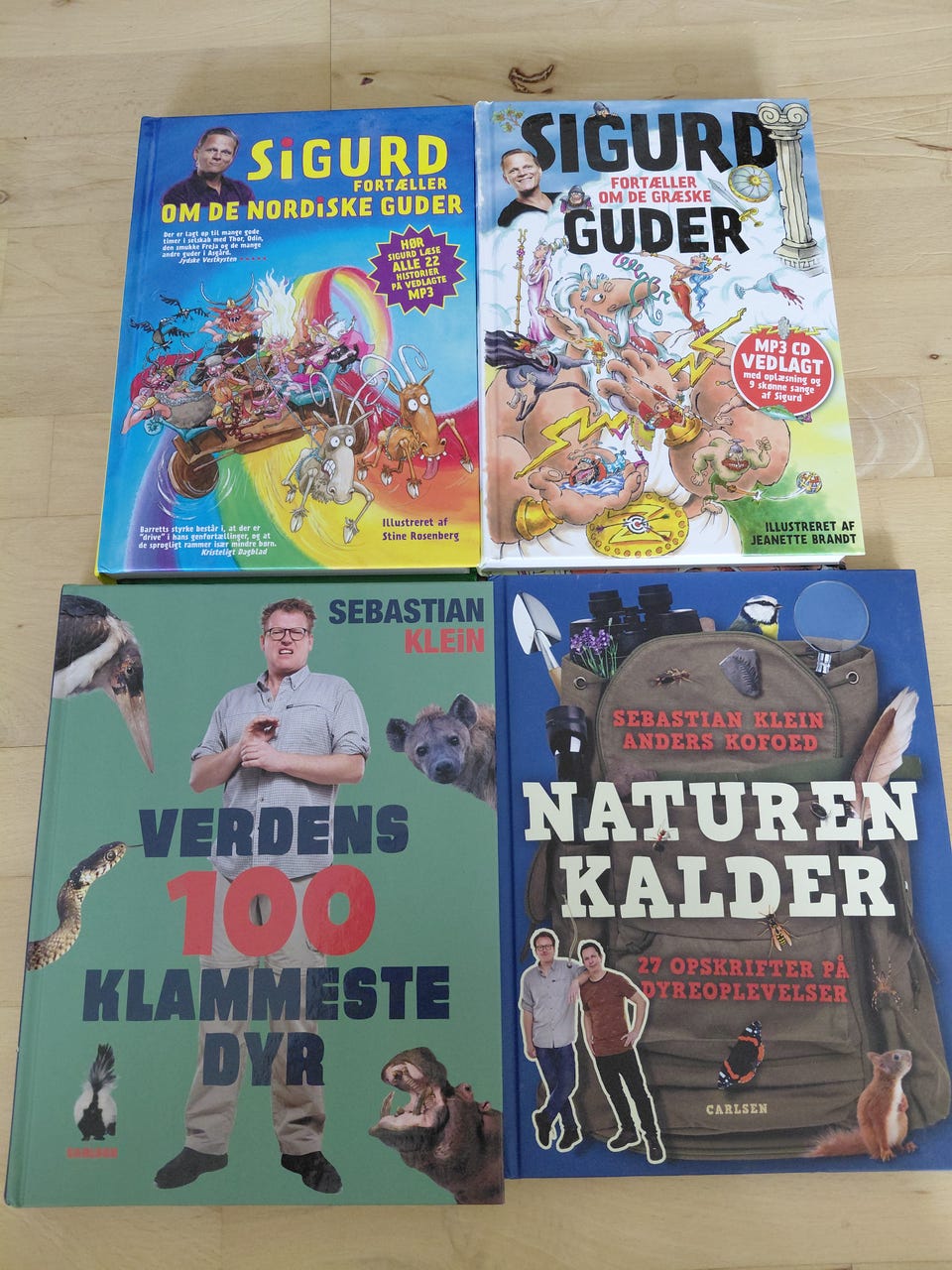 Galleribillede