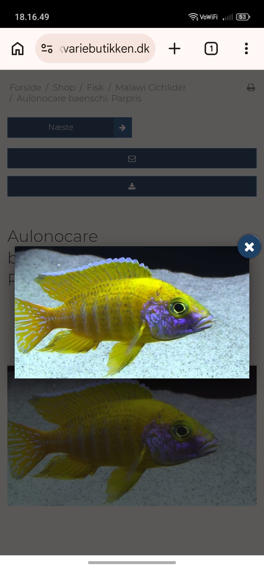 Galleribillede