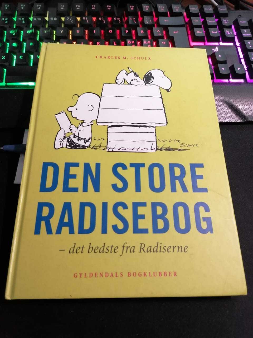 Galleribillede