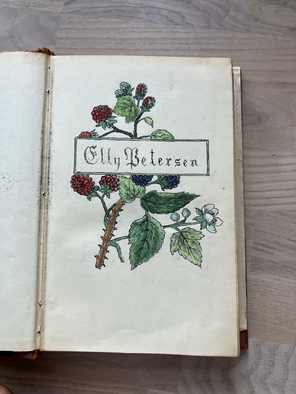Galleribillede