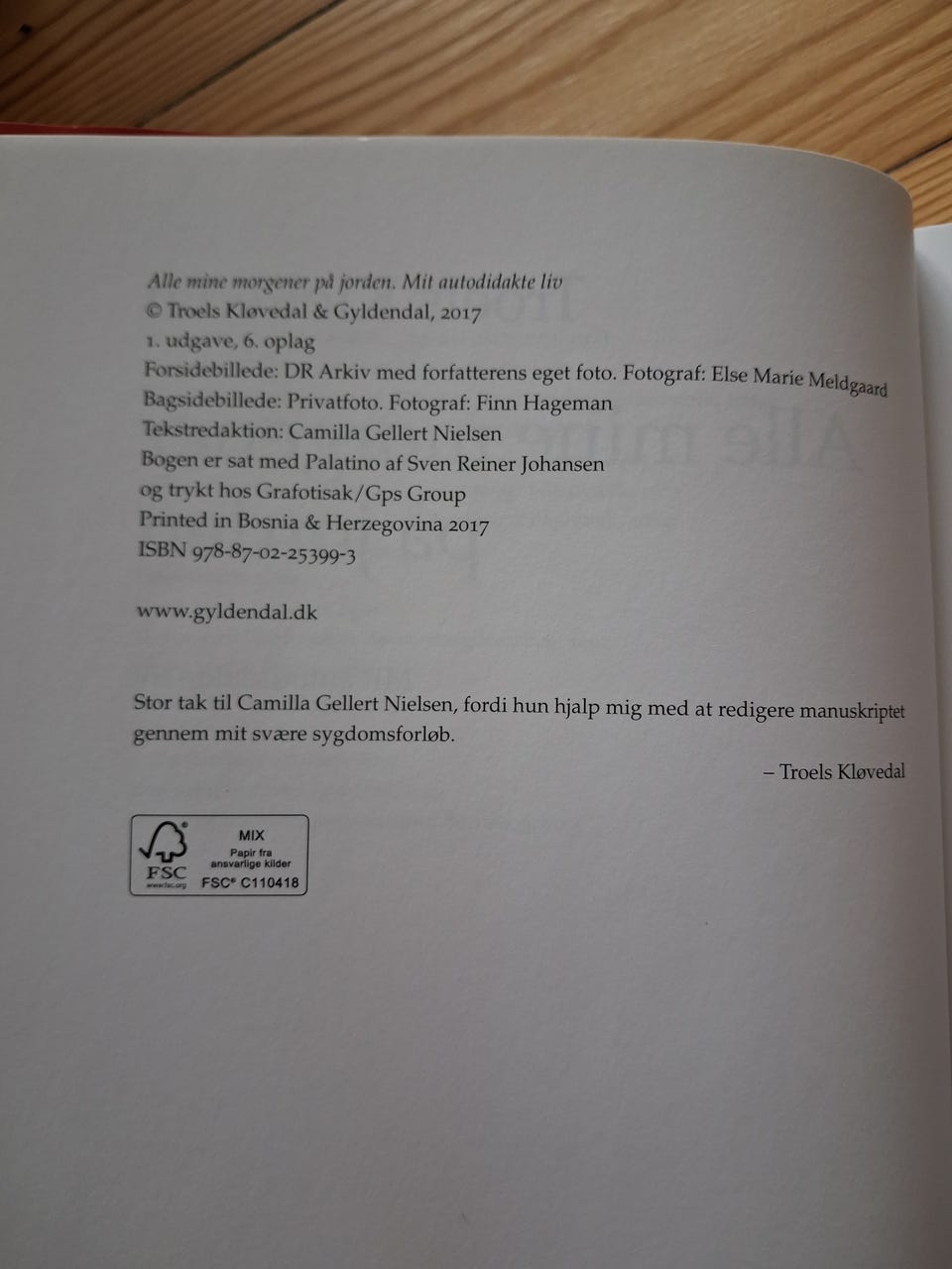 Galleribillede