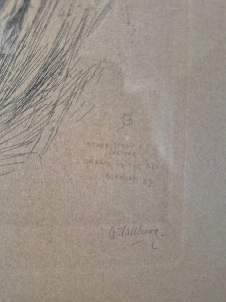 Galleribillede
