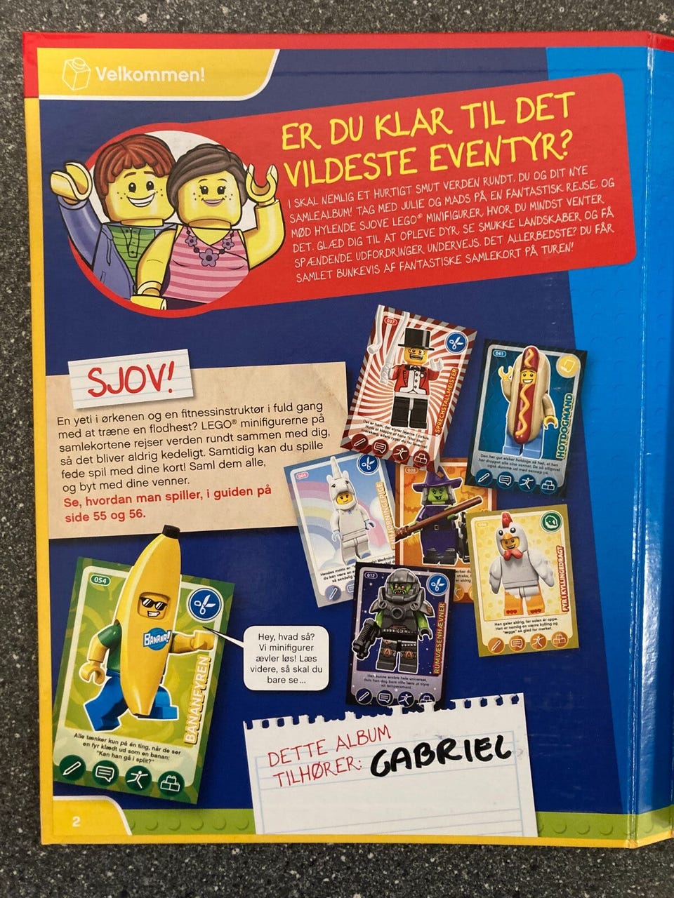 Galleribillede