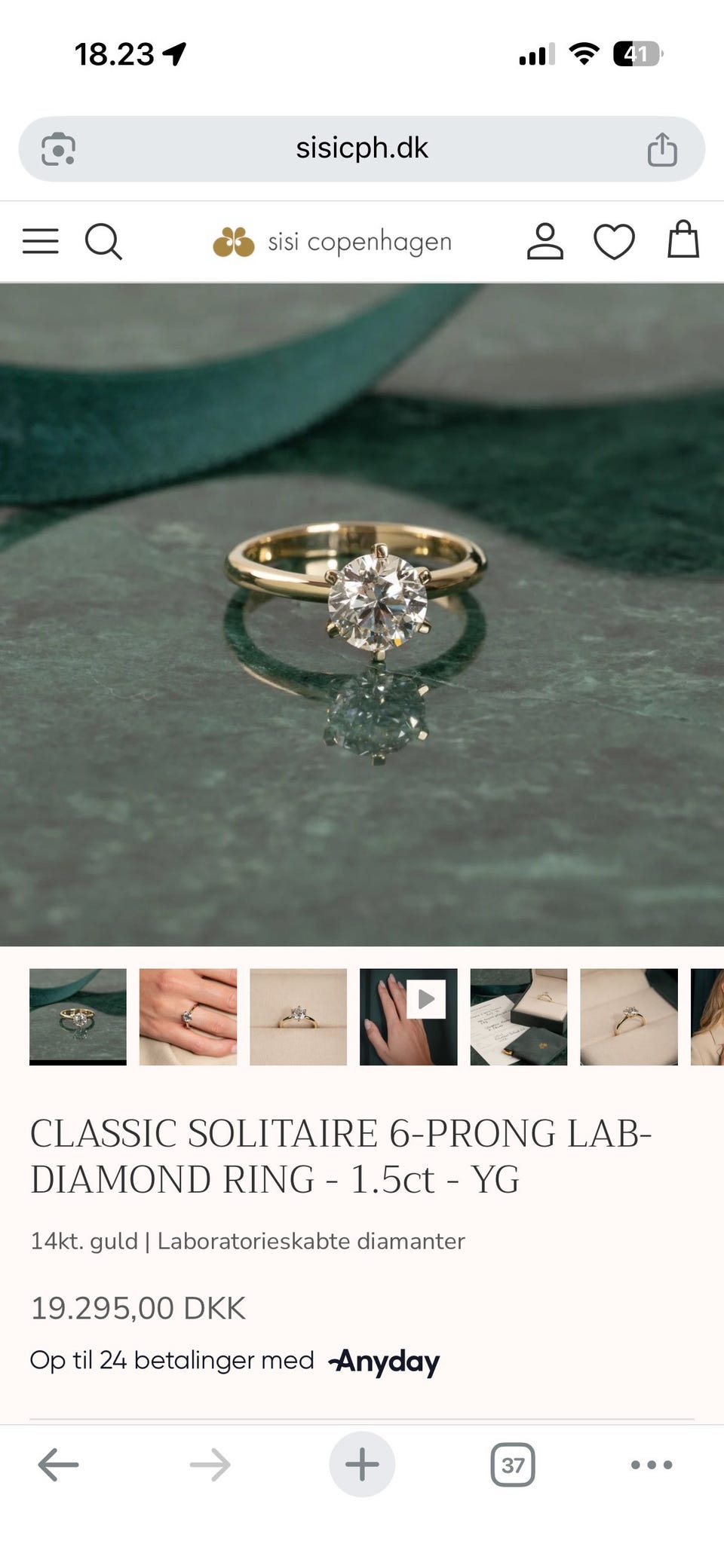 Galleribillede