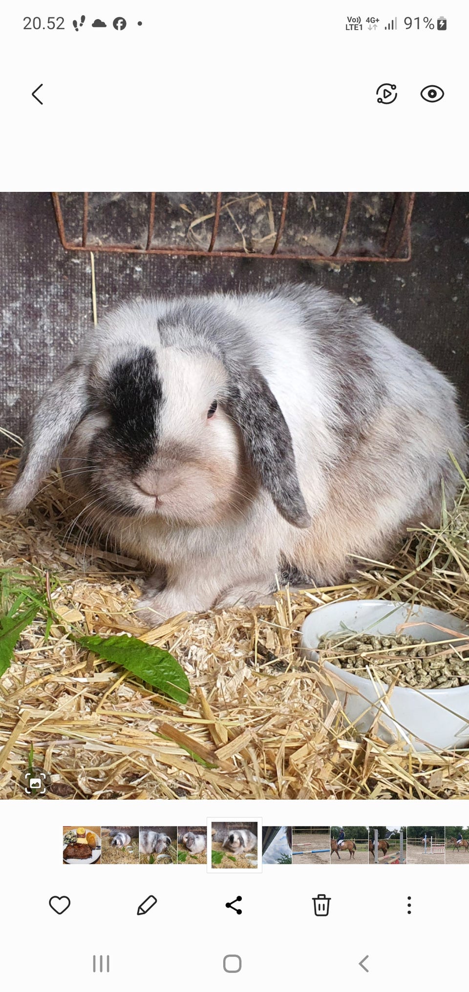 Galleribillede