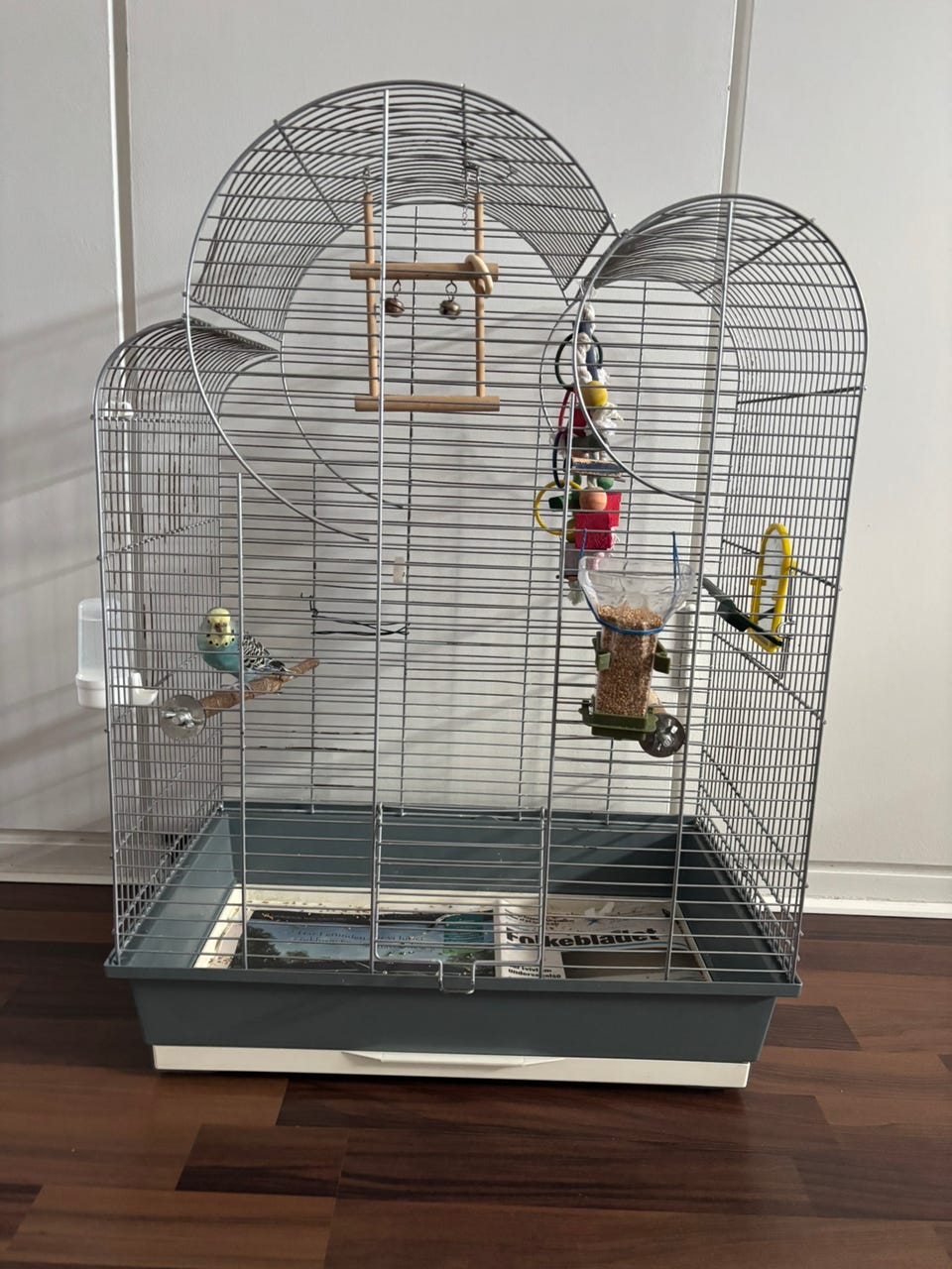 Galleribillede