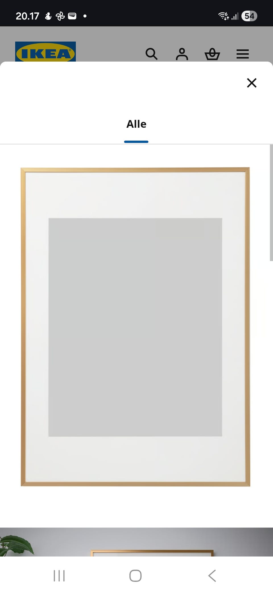 Galleribillede