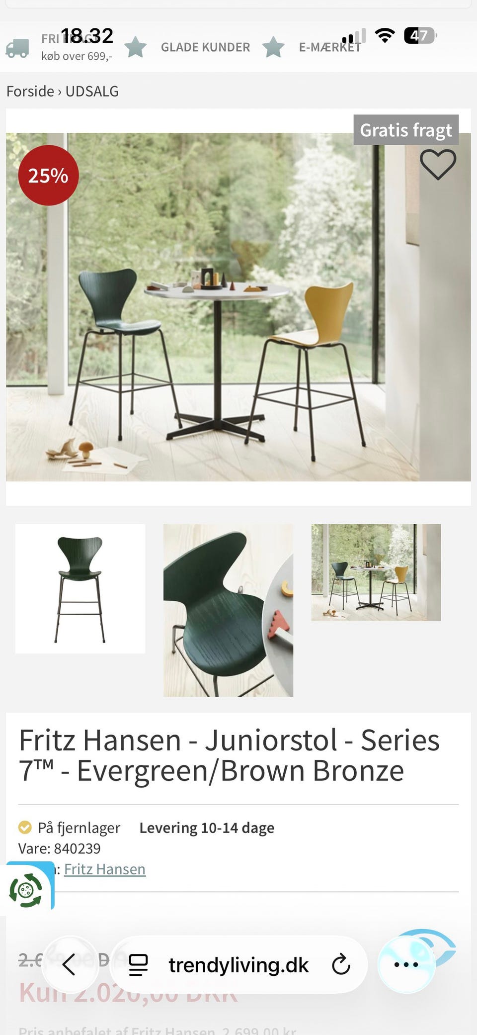 Galleribillede