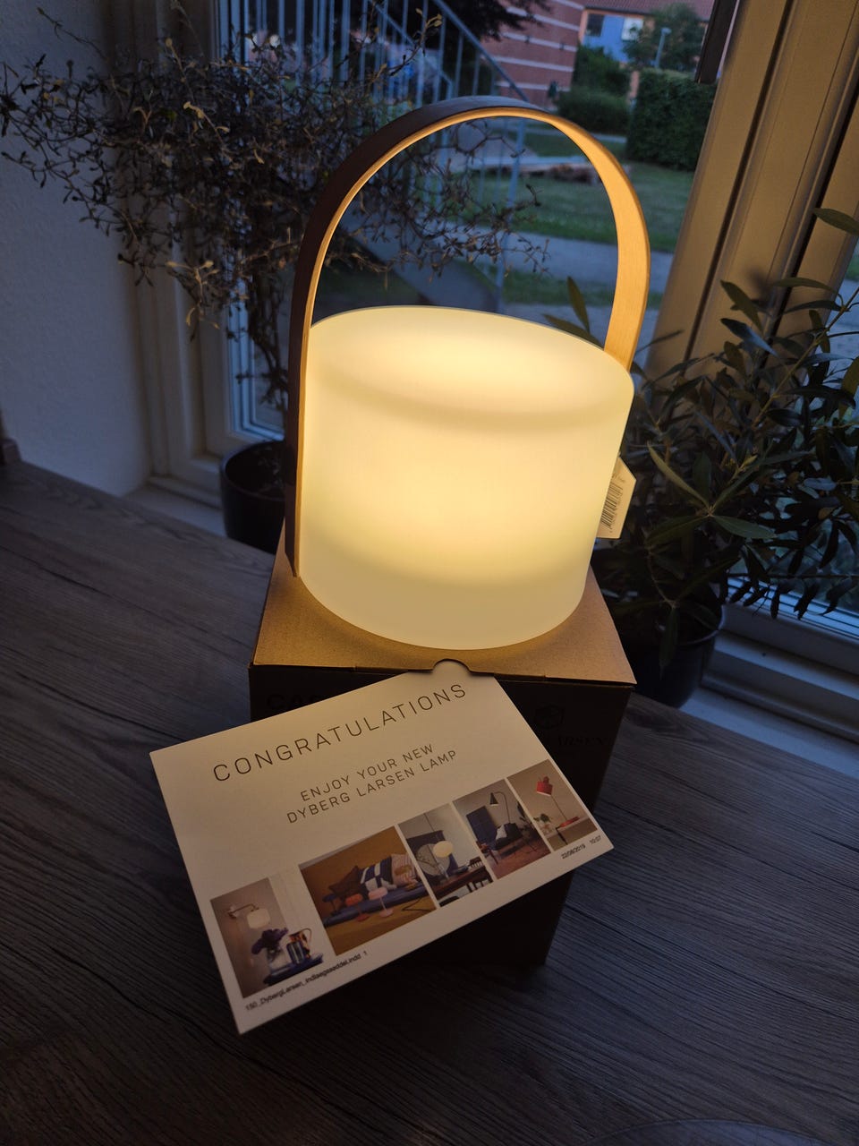 Galleribillede