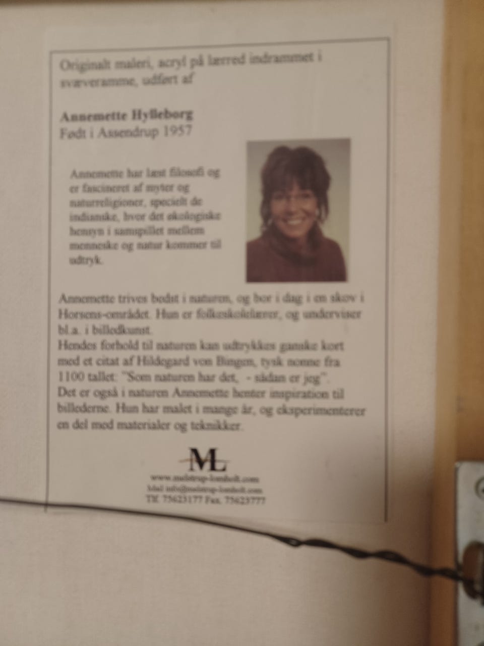 Galleribillede