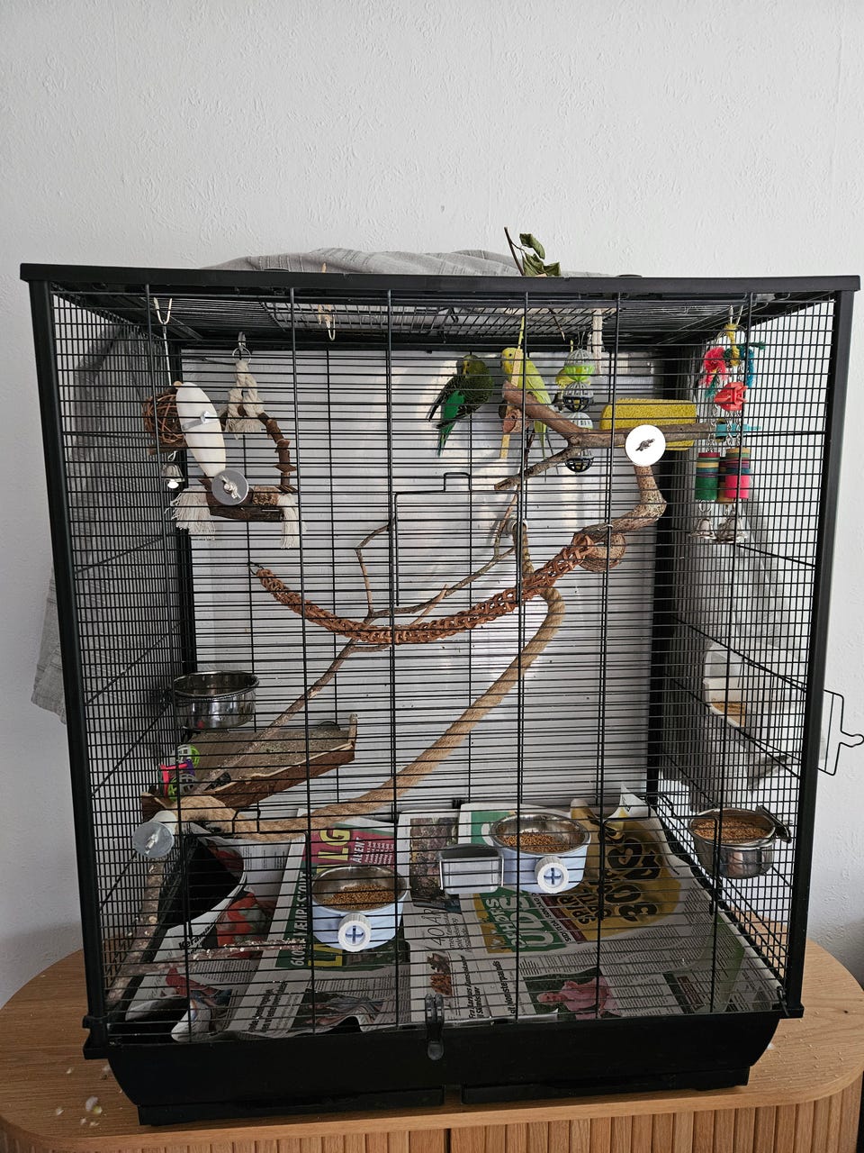 Galleribillede