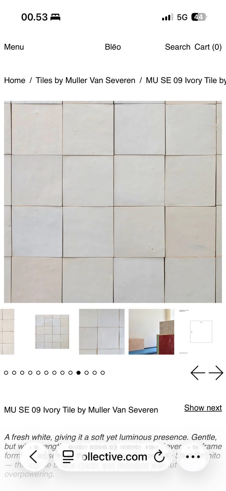 Galleribillede