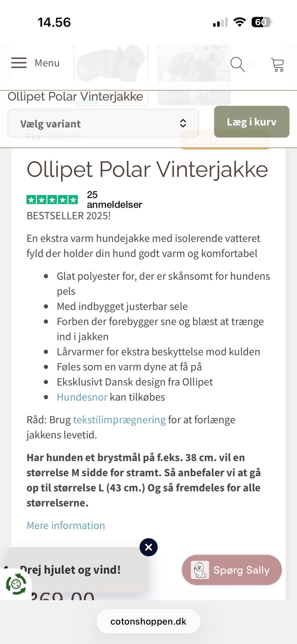 Galleribillede