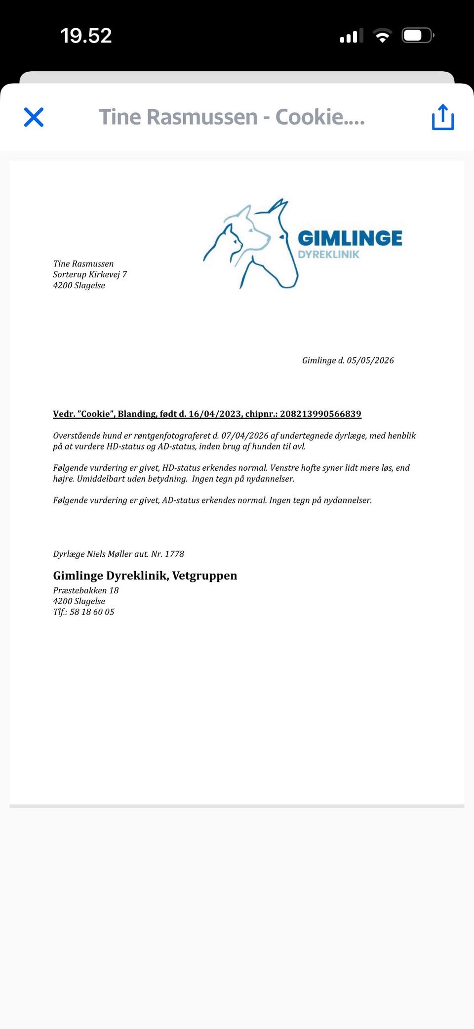 Galleribillede