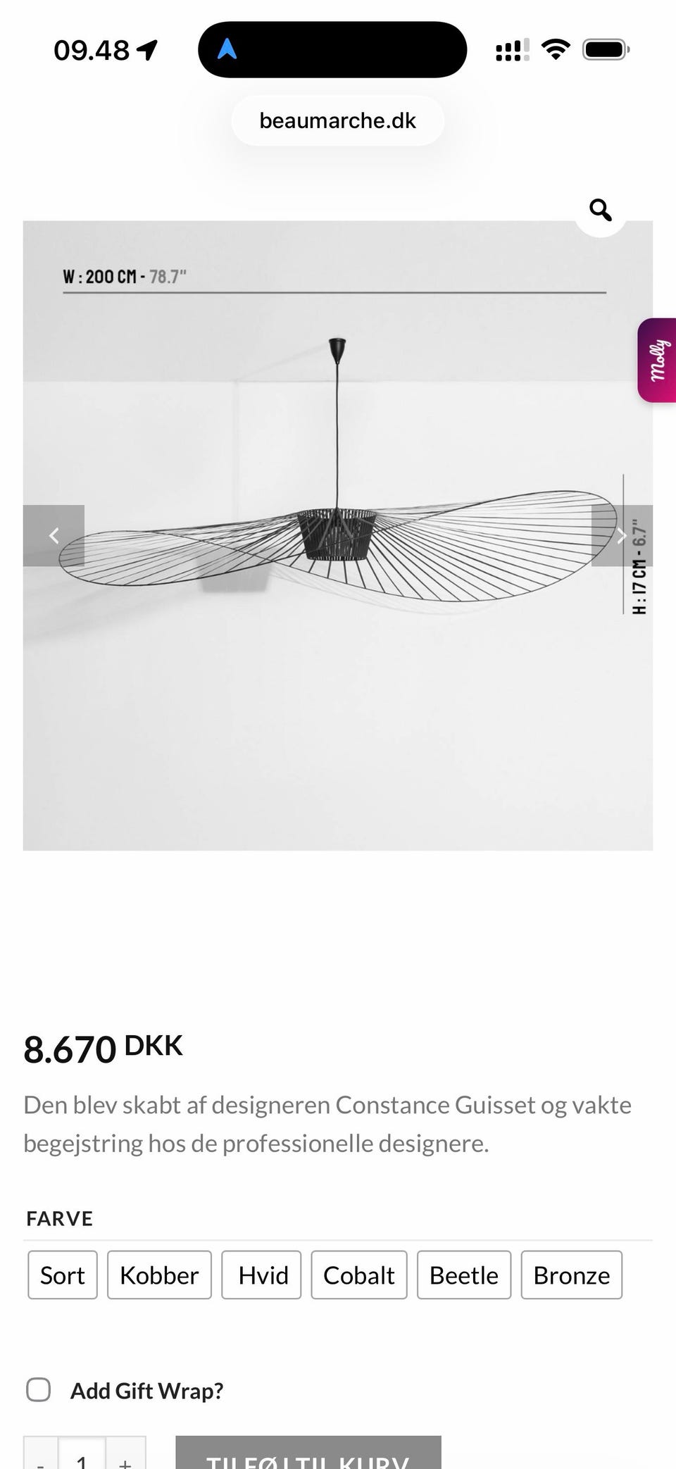 Galleribillede