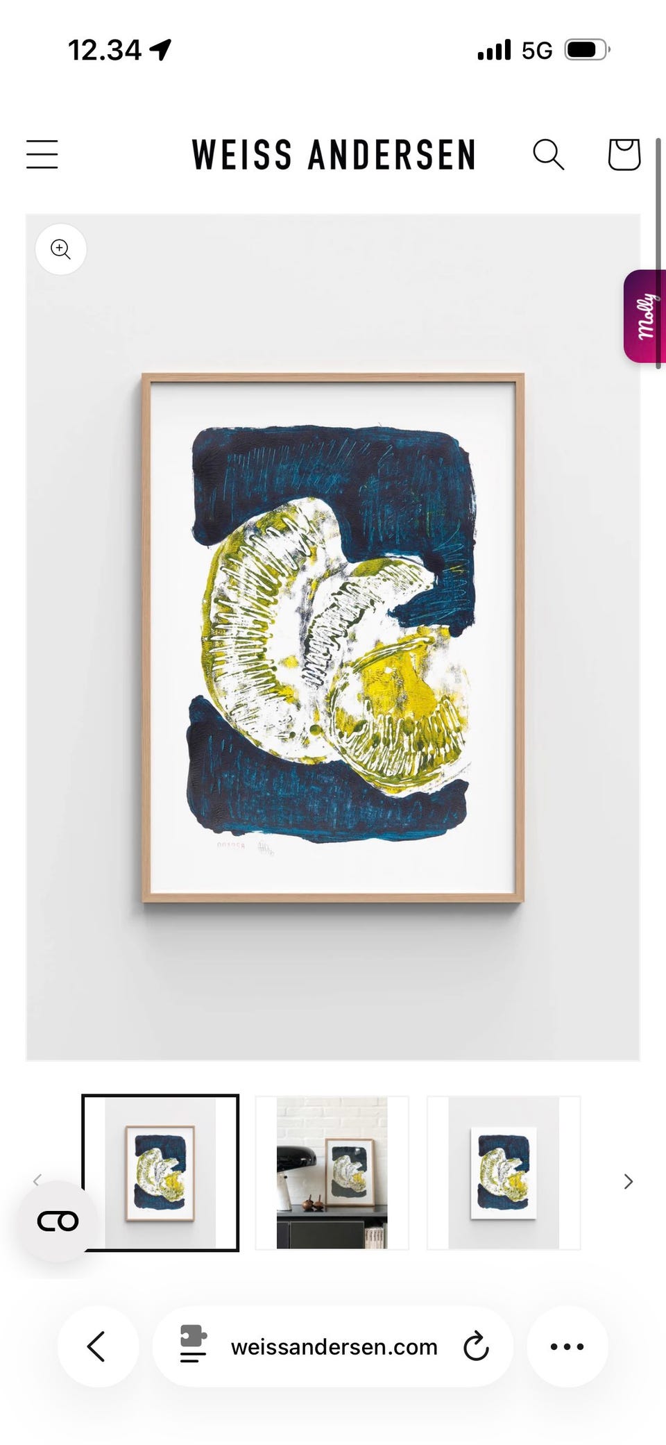 Galleribillede
