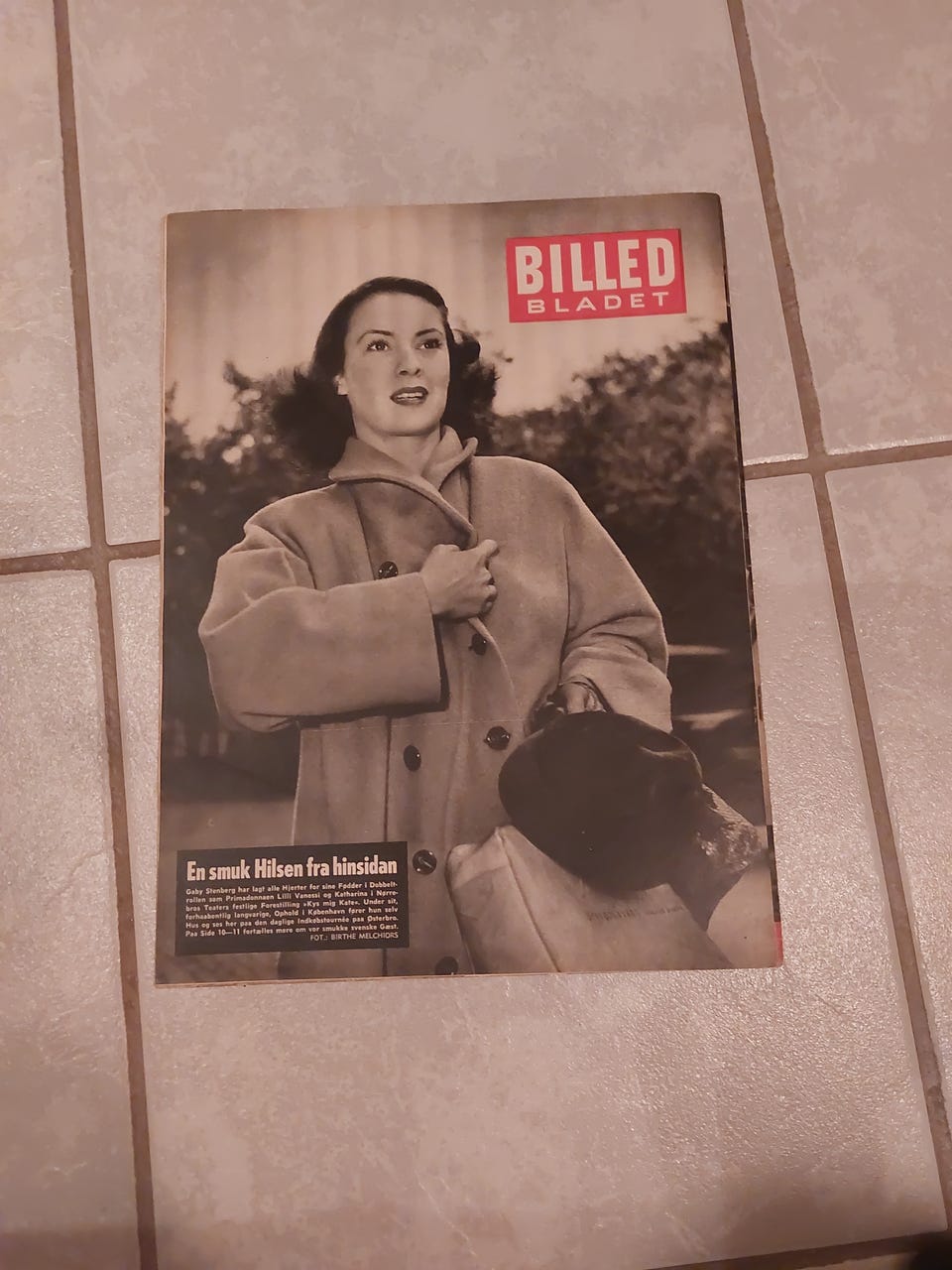 Galleribillede