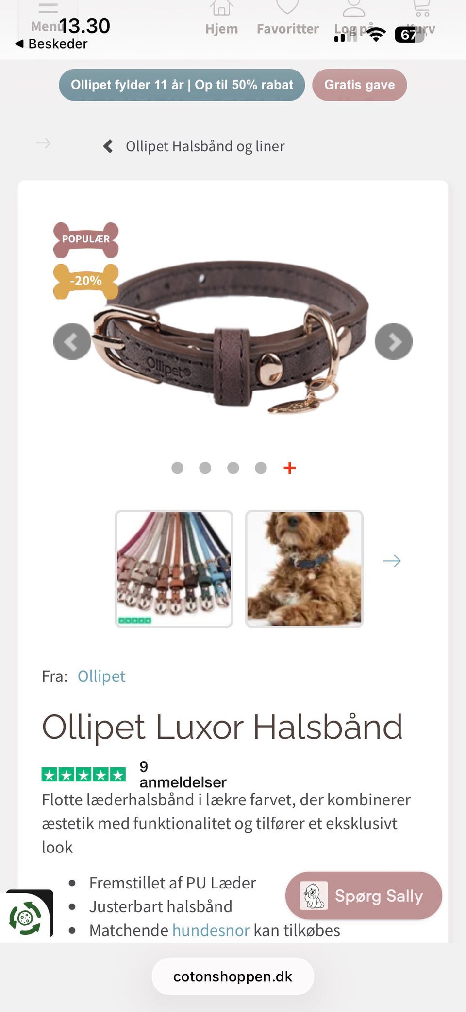 Galleribillede