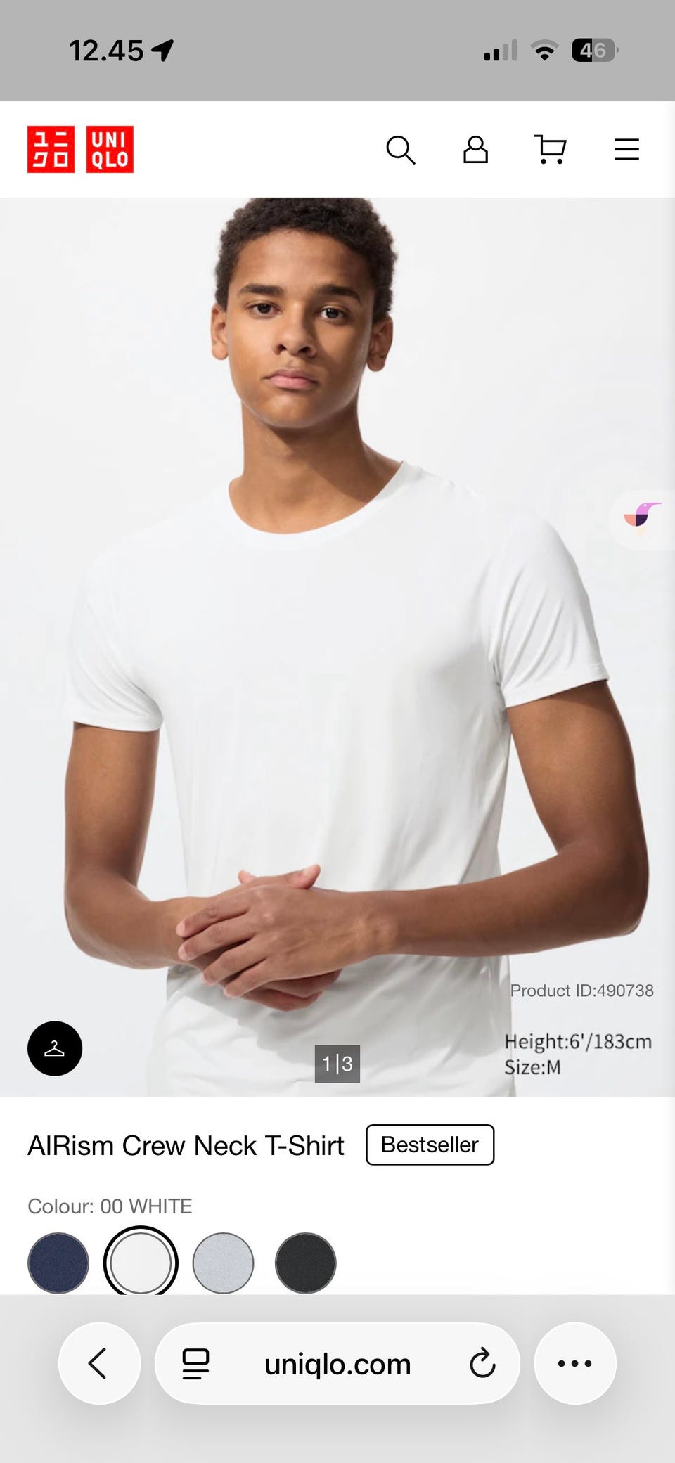 Galleribillede