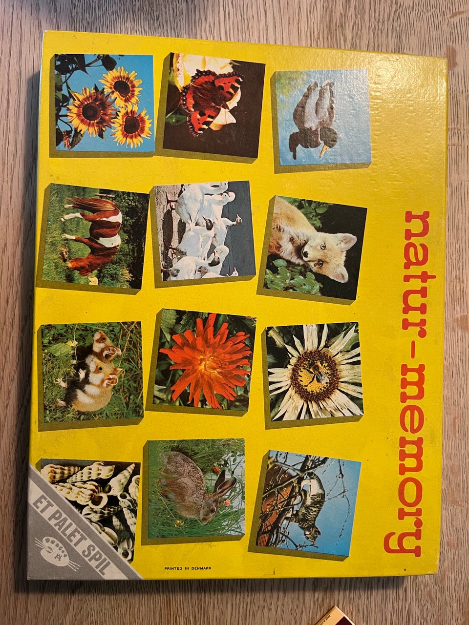 Galleribillede