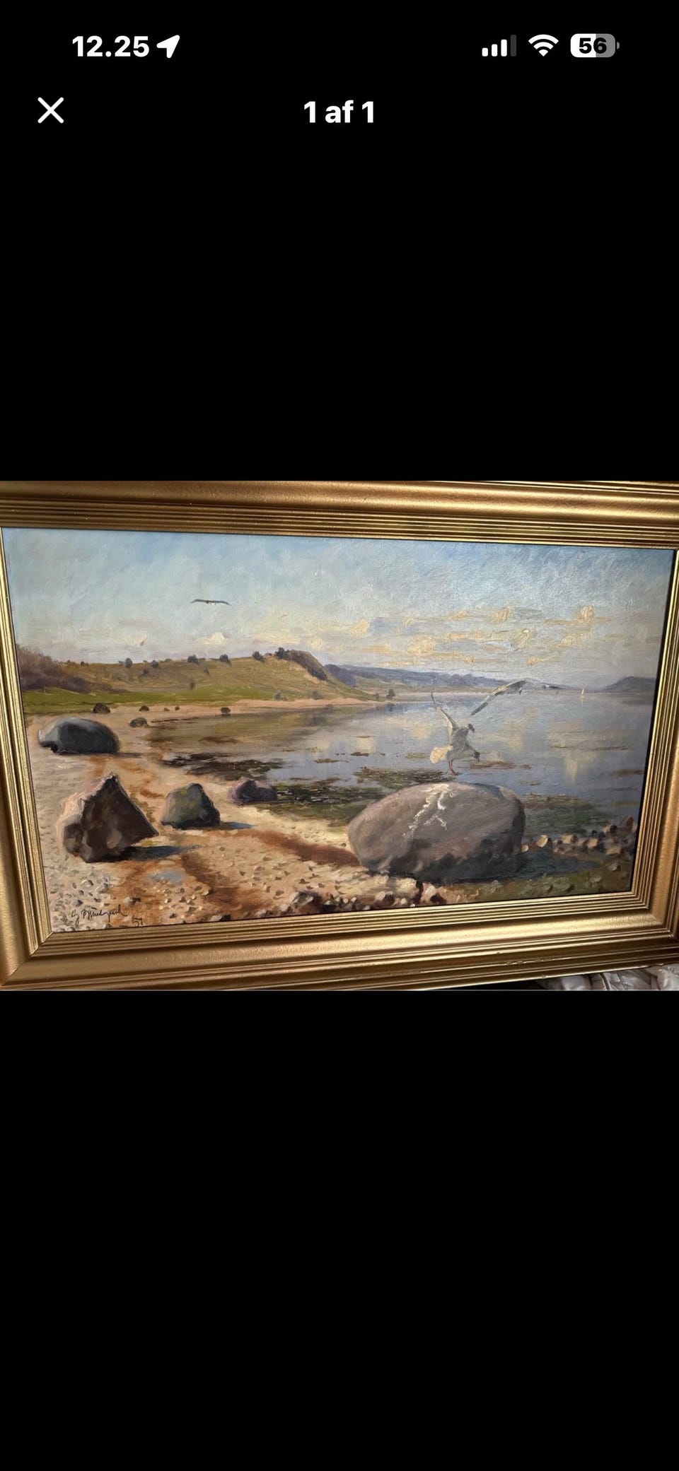 Galleribillede