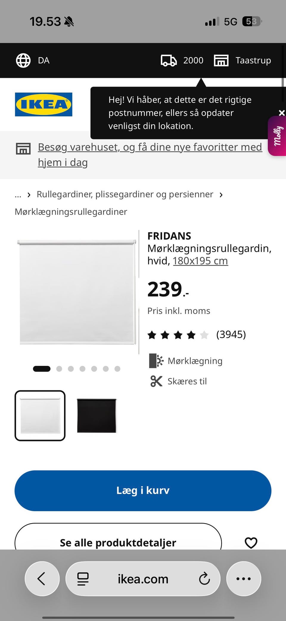 Galleribillede