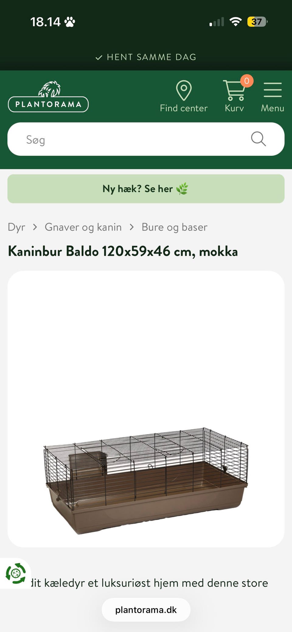 Galleribillede