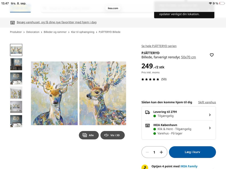 Galleribillede