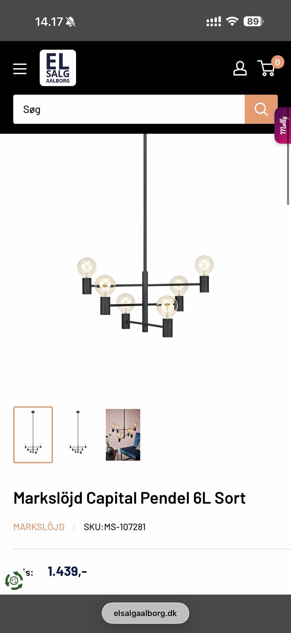 Galleribillede