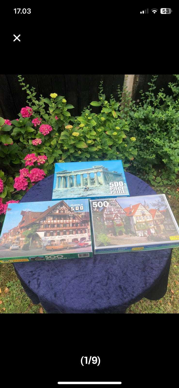 Galleribillede