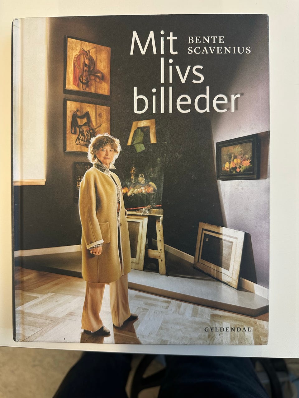 Galleribillede