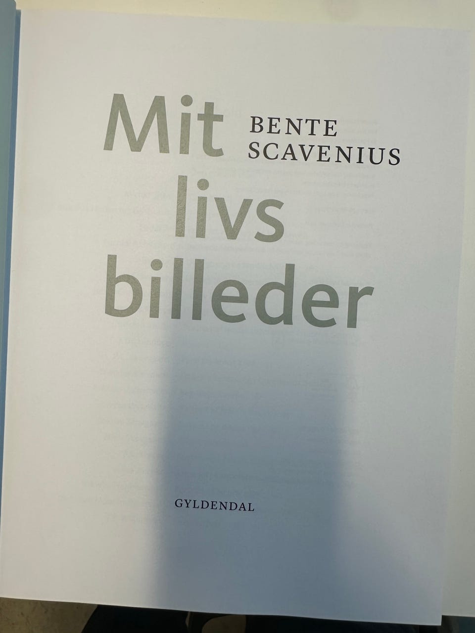 Galleribillede
