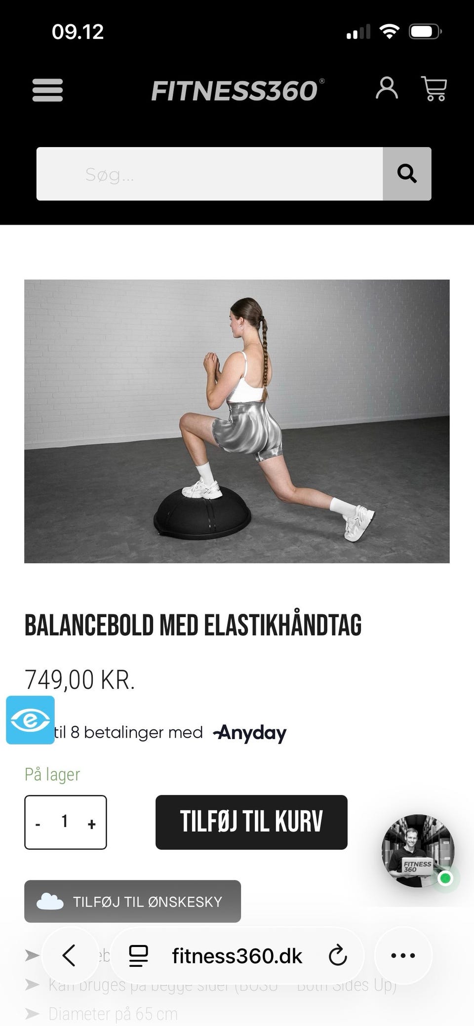 Galleribillede
