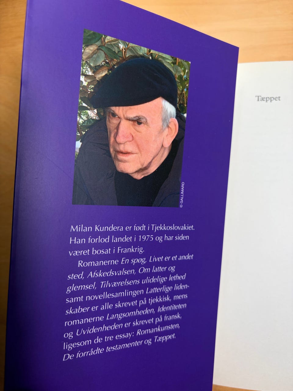 Galleribillede