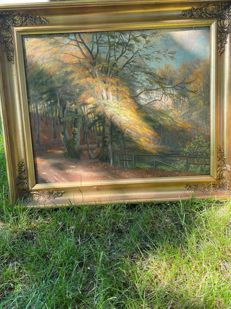 Galleribillede