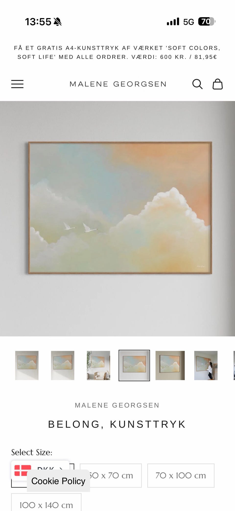 Galleribillede