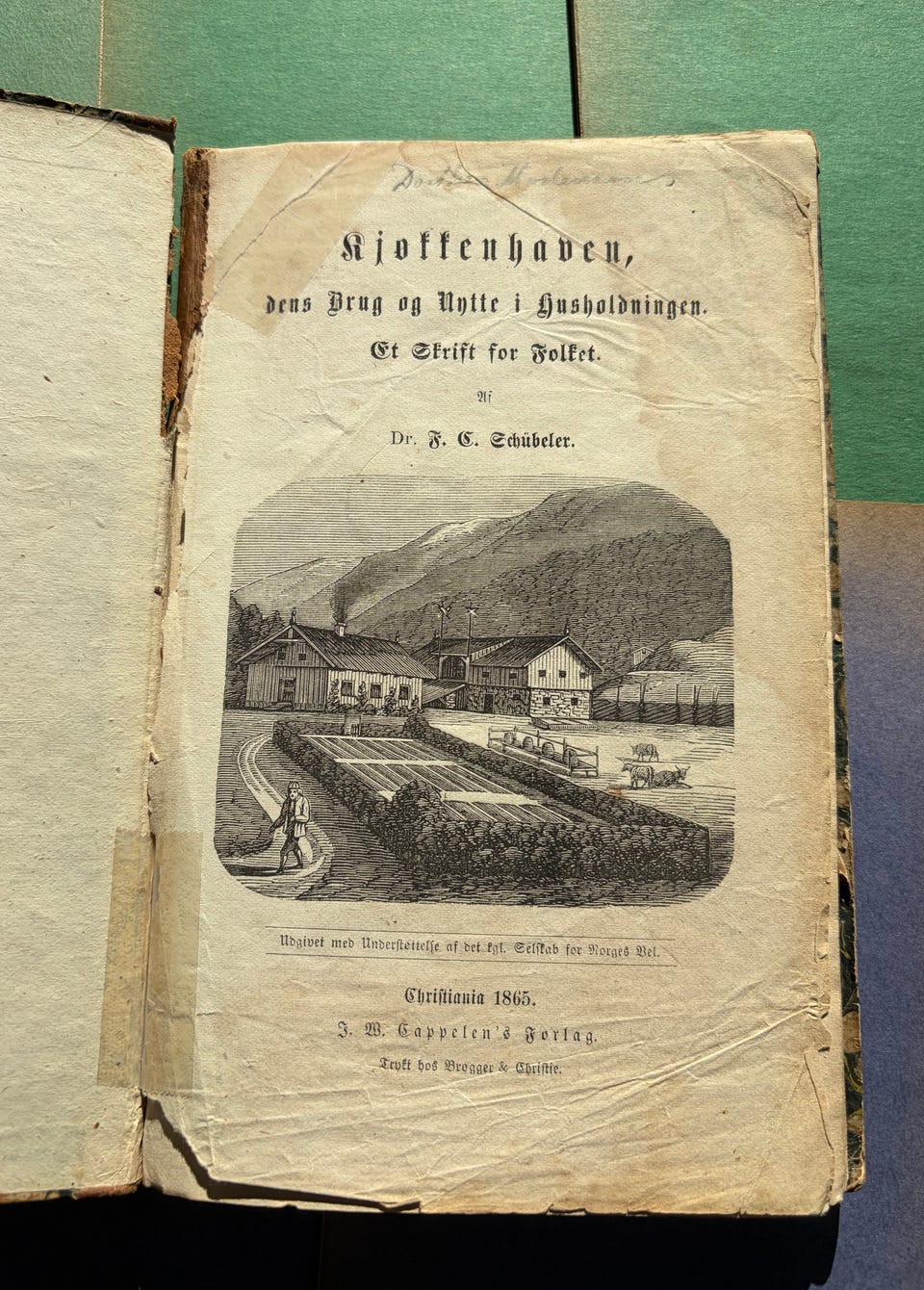 Galleribillede