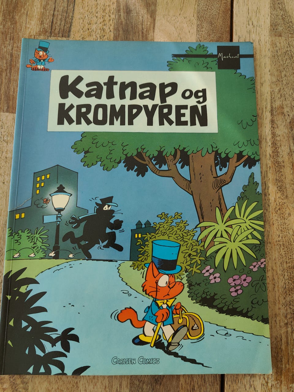 Galleribillede