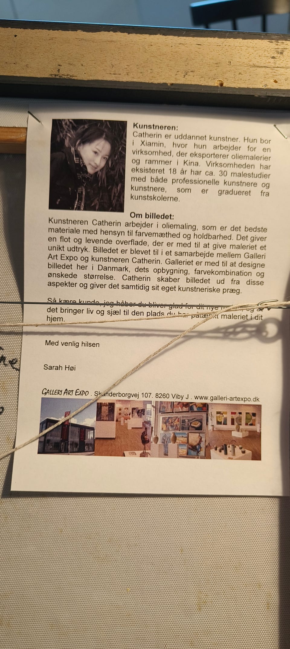 Galleribillede