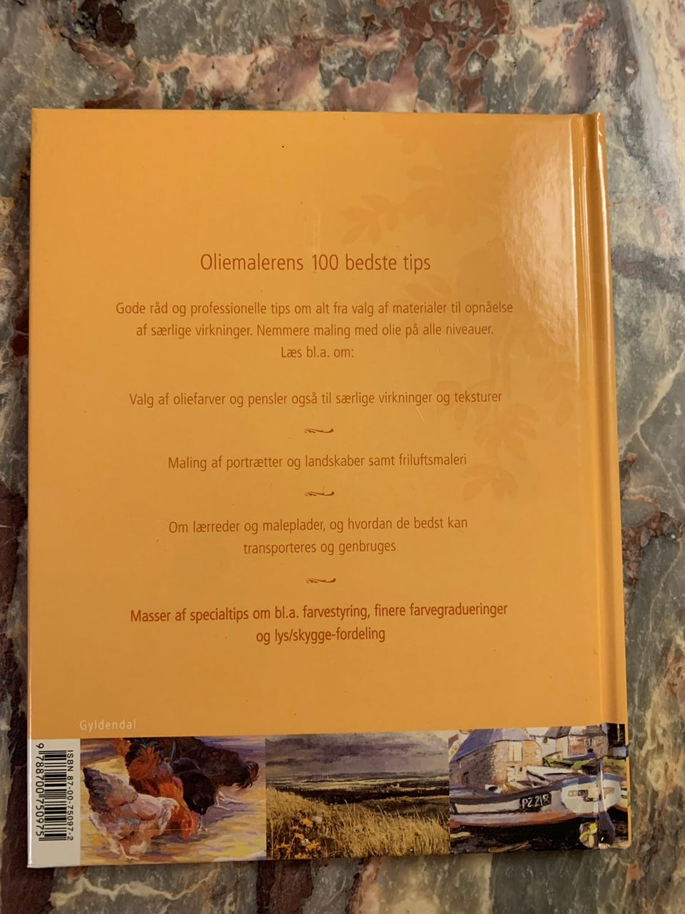 Galleribillede