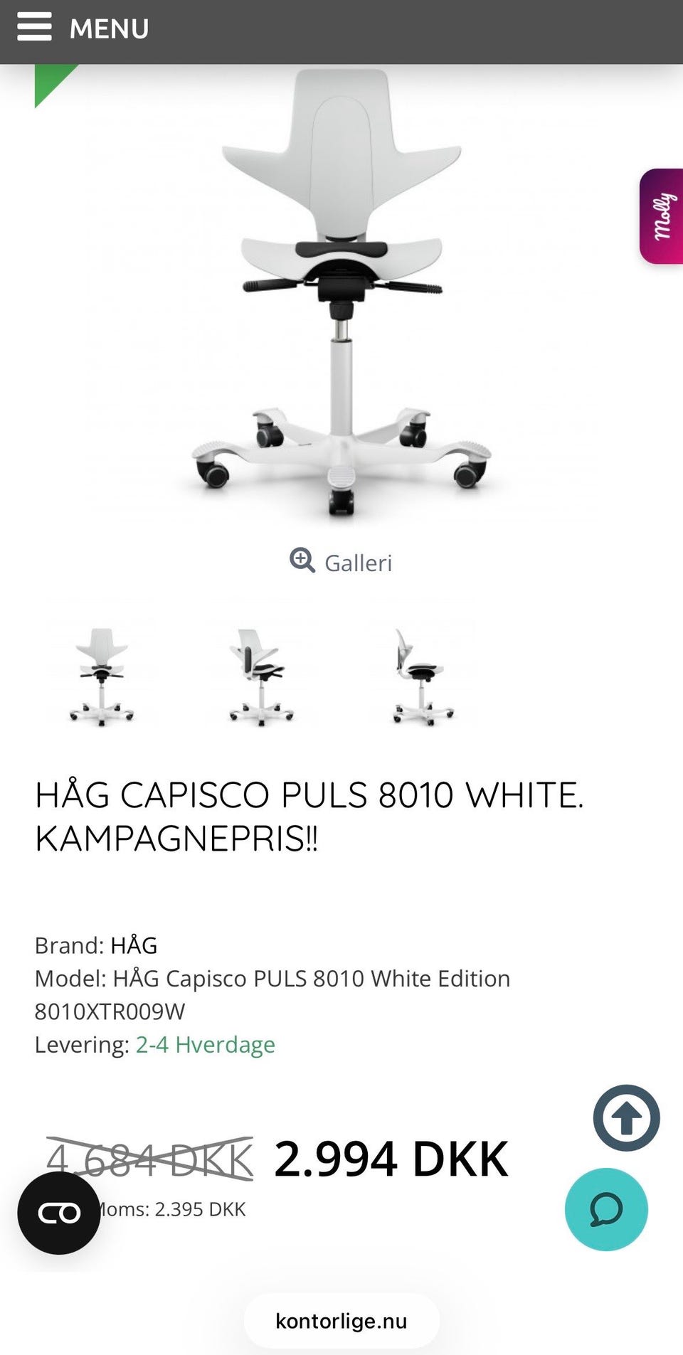Galleribillede