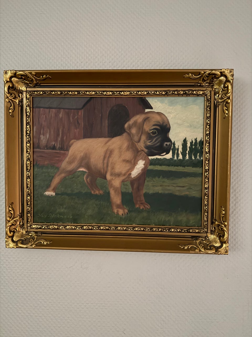 Galleribillede