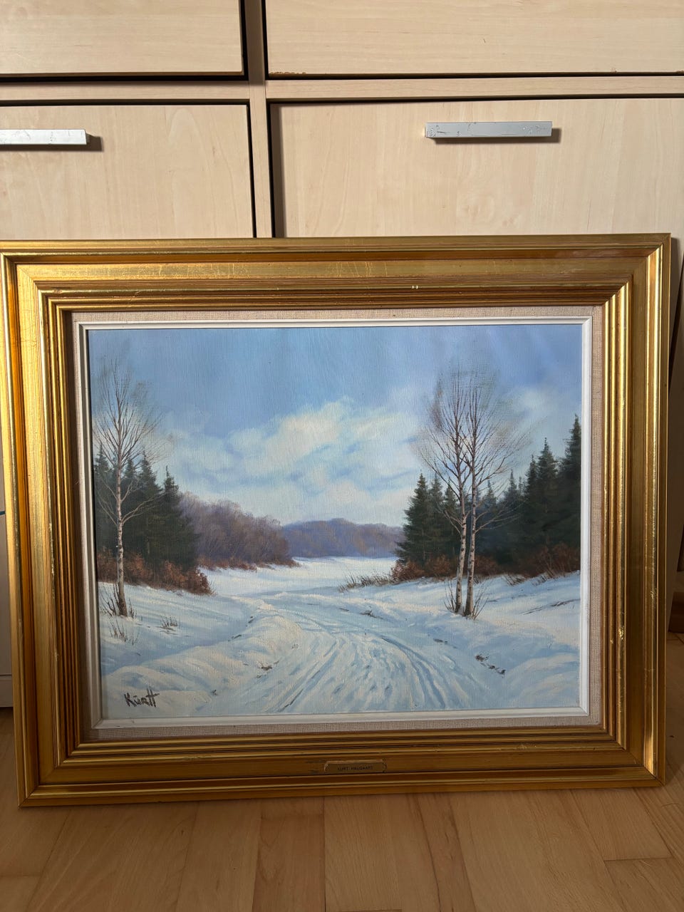Galleribillede