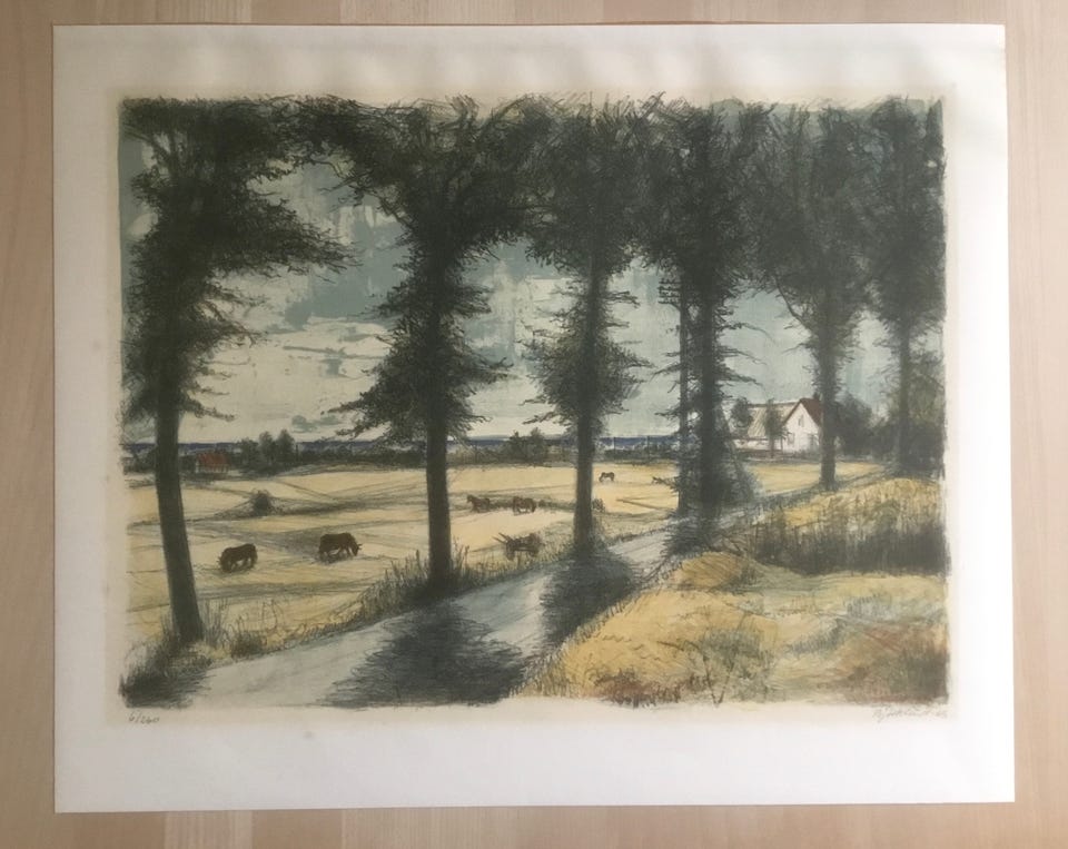 Galleribillede
