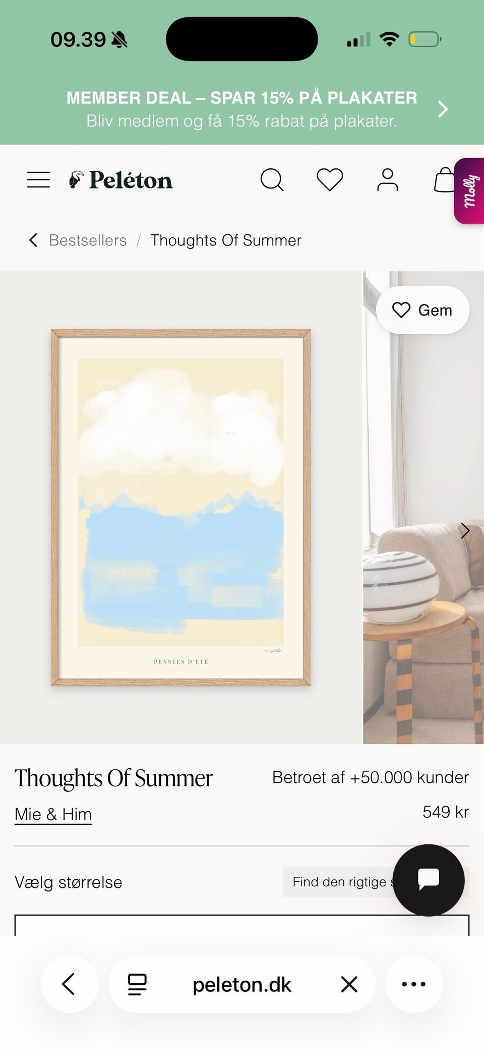 Galleribillede